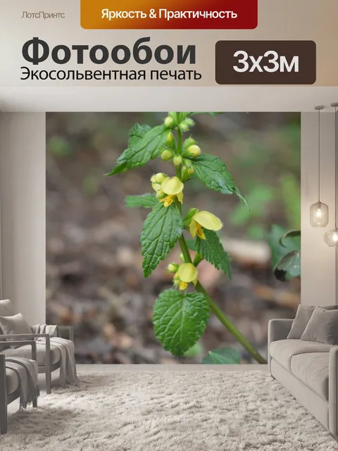 Фотообои Жёлтый