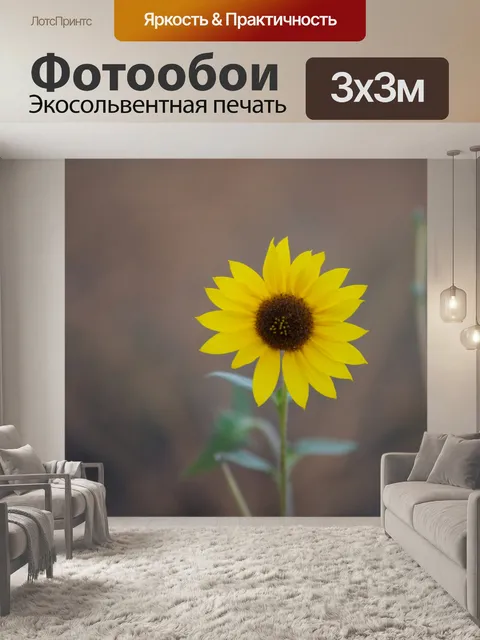 Фотообои Подсолнечник на коричневом фоне