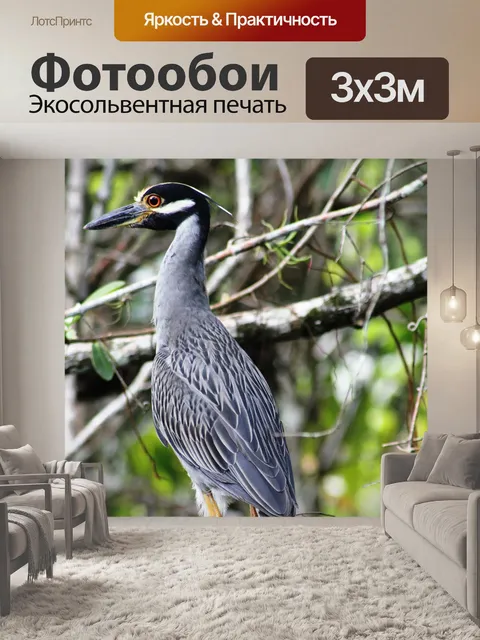 Фотообои Гондурас