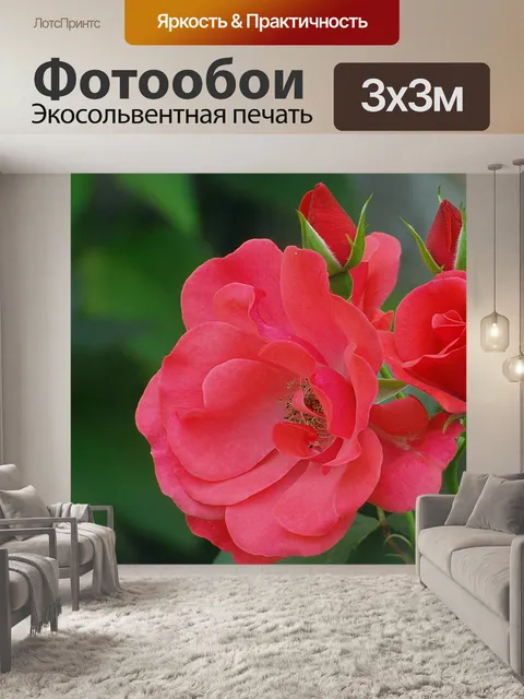 Фотообои Розы