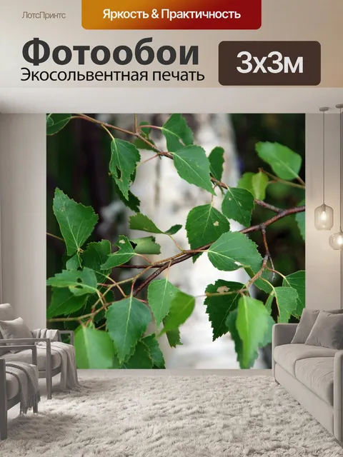 Фотообои Береза