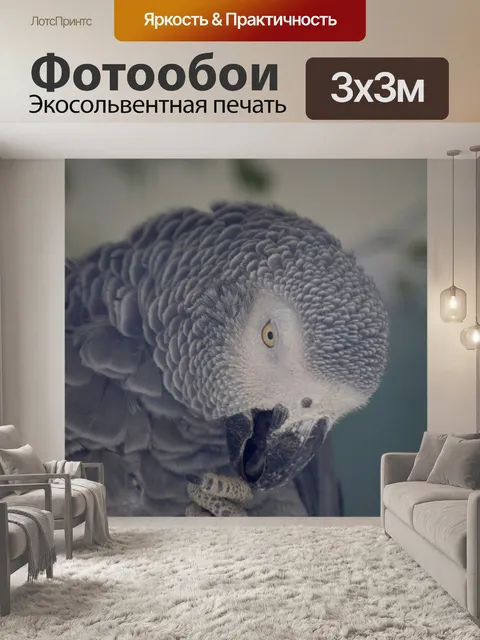 Фотообои Попугай