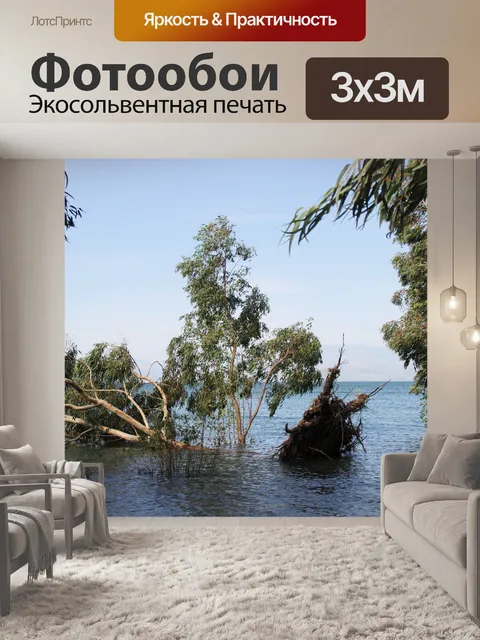 Фотообои Выкорчеванные деревья в воде