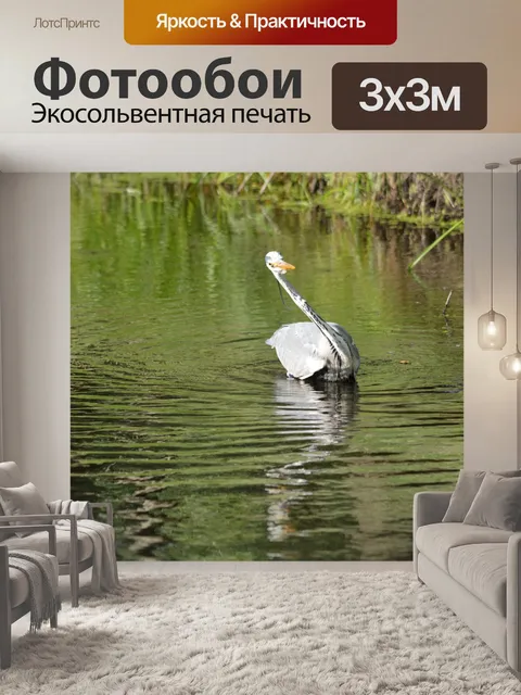 Фотообои Поймай рыбу 2