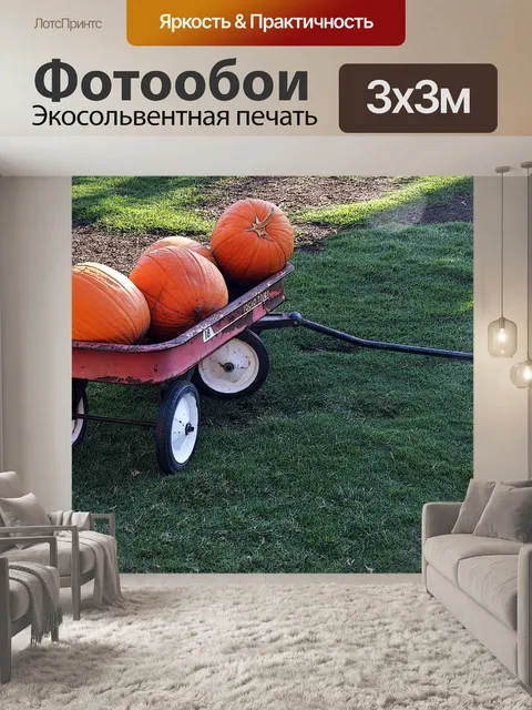 Фотообои Три тыквы в Wagon