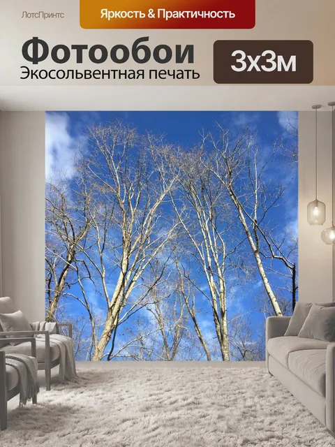 Фотообои Небо с деревьями и облаками