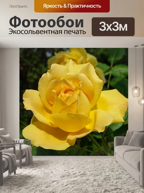Фотообои Роза