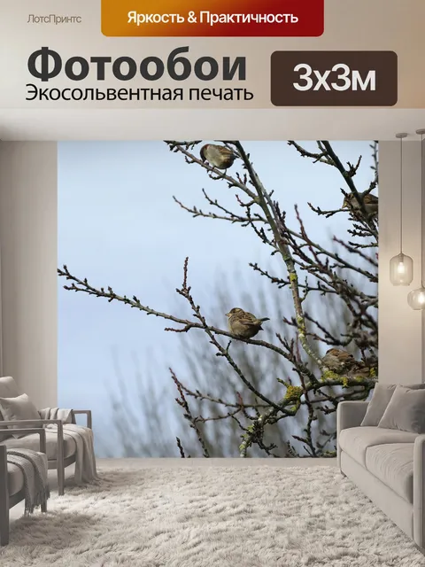 Фотообои Птицы