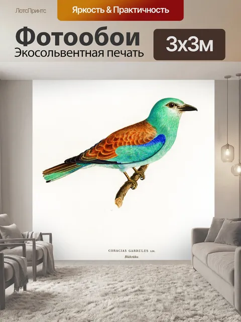 Фотообои Птицы тропических старинных искусства