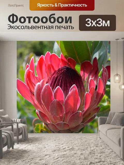 Фотообои Южная африка