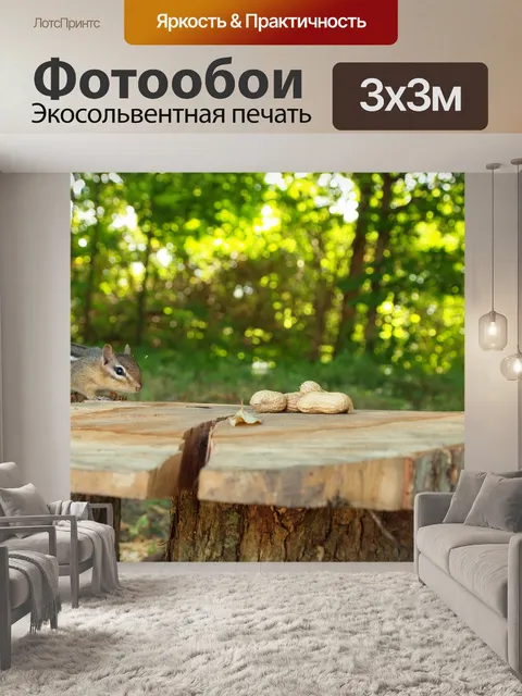 Фотообои Бурундук, преследующий арахис
