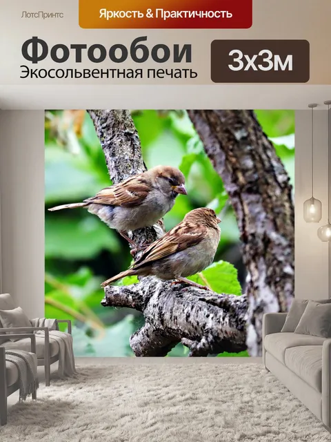 Фотообои Домовые воробьи