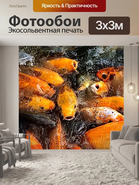 Фотообои Карп кои