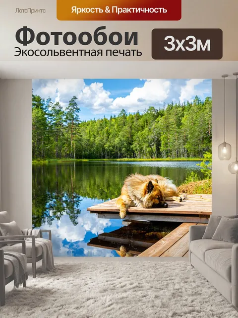 Фотообои Собака
