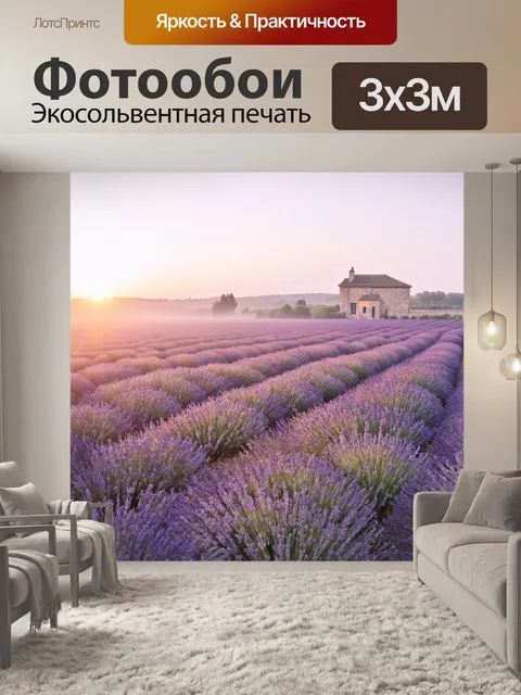 Фотообои прованс: восход солнца на фоне туманного лавандина заполняет этот пейзаж мягкими нежными цветами