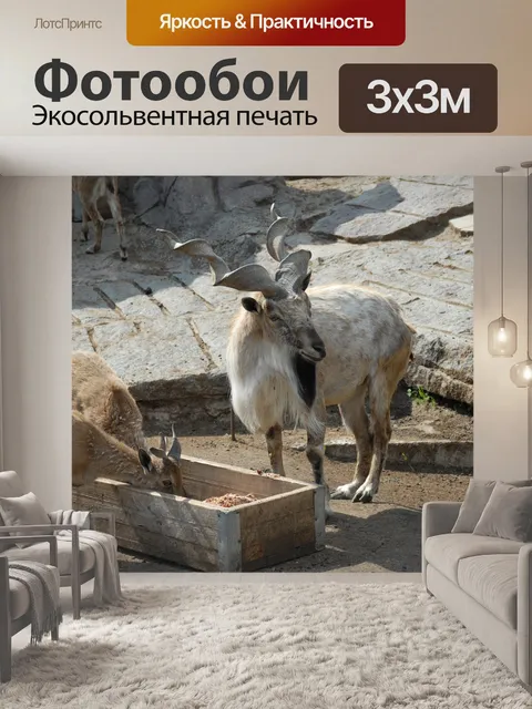 Фотообои Козел
