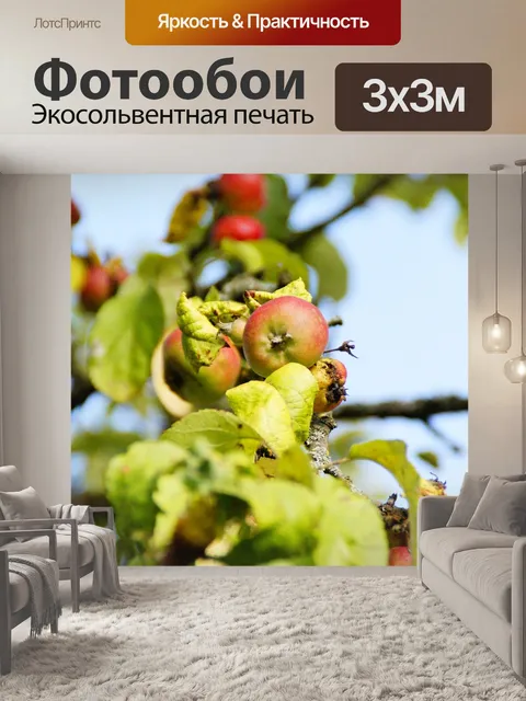 Фотообои Яблоня