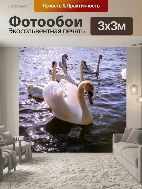 Фотообои Лебедь
