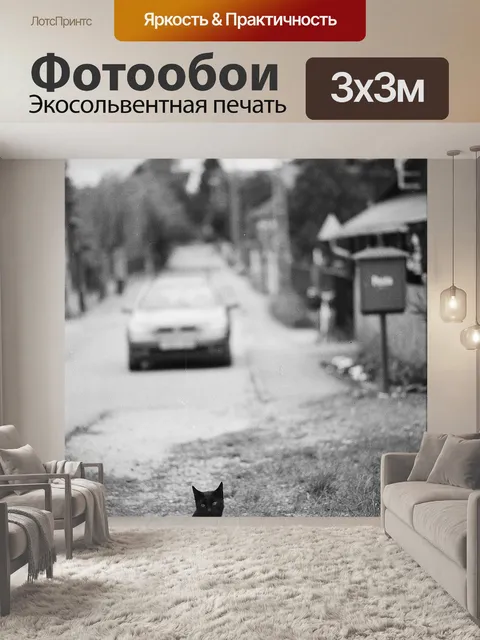 Фотообои Черный кот