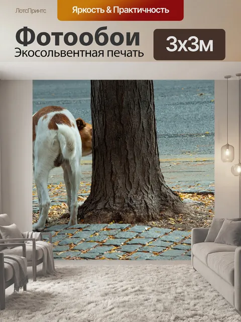 Фотообои Дерево