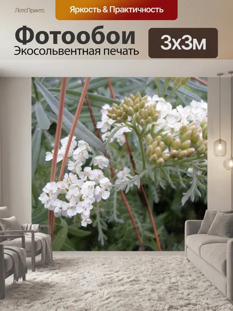 Фотообои Маленький белый цветок листва