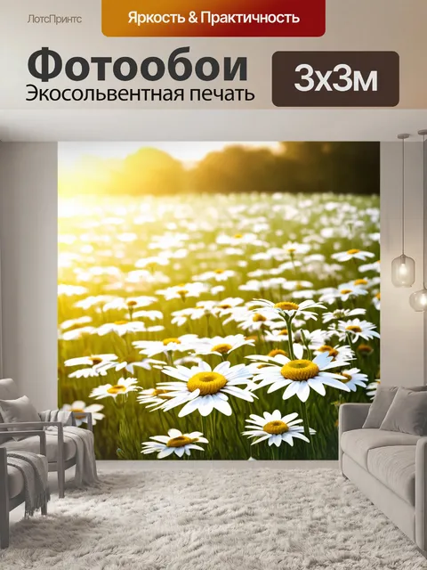 Фотообои поле белых ромашек, раскинувшихся в мягком свете утреннего солнца, создавая романтическое настроение