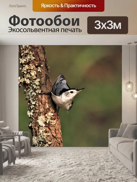 Фотообои Белогрудый поползень на дереве 2
