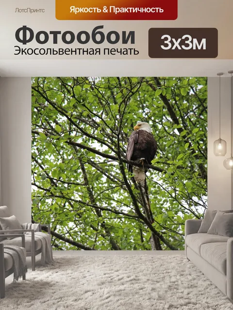 Фотообои Орел