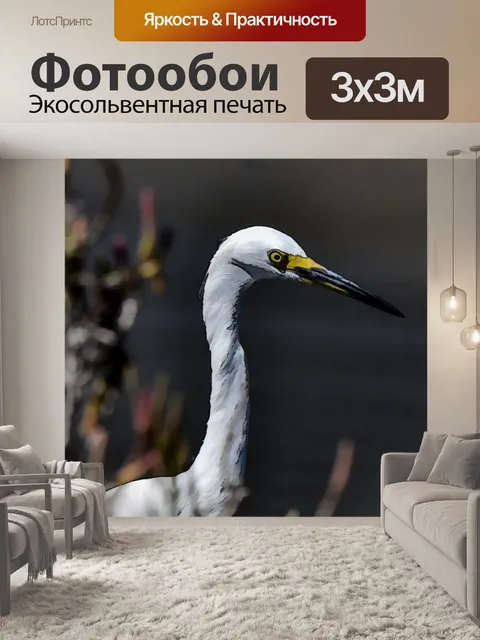 Фотообои Большая белая цапля Арт