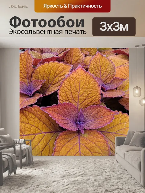 Фотообои Растение с оранжевыми листьями