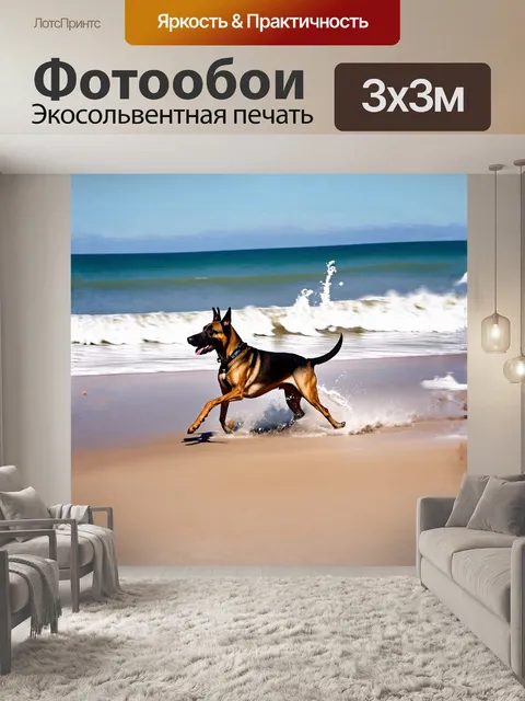 Фотообои бельгийская овчарка малинуа, стремящаяся к побережью, где вода нежно омывает песок