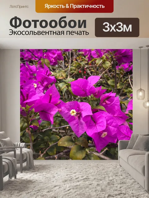 Фотообои Сад