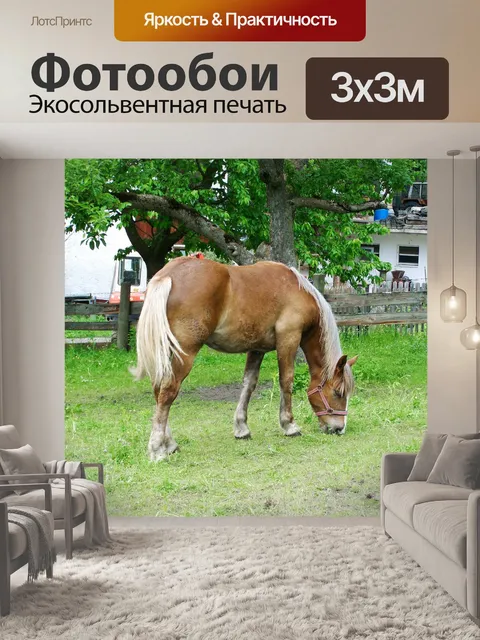Фотообои Коричневая лошадь