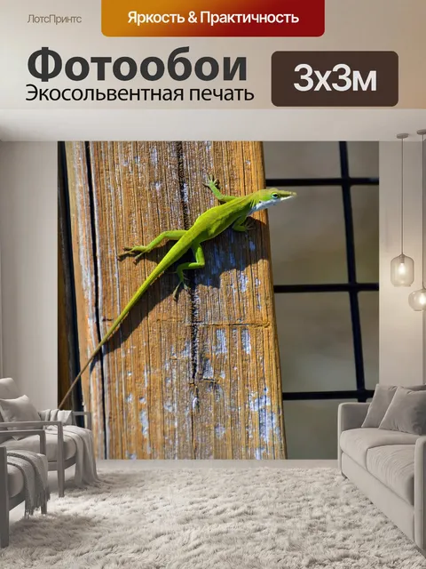 Фотообои Хамелеон Ящерица