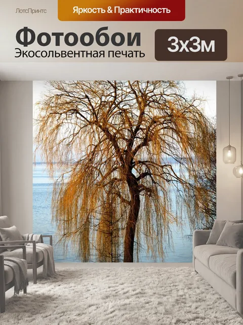 Фотообои Плакучая ива
