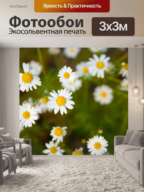 Фотообои крошечных цветков ромашки