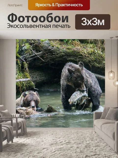 Фотообои Медведи лосося