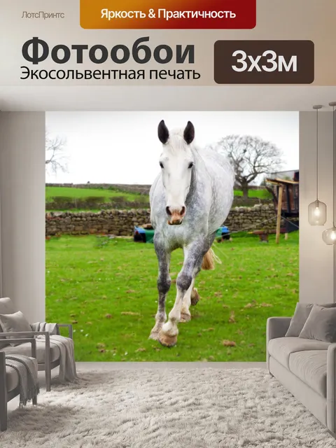 Фотообои Лошадь