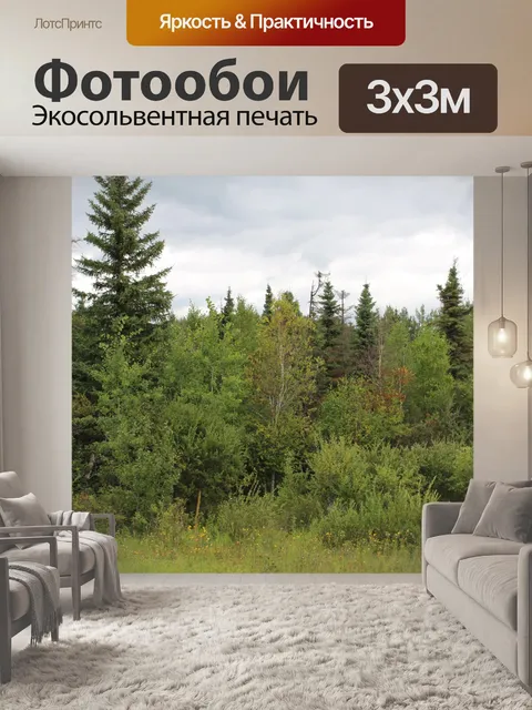 Фотообои Деревья Лес Буш