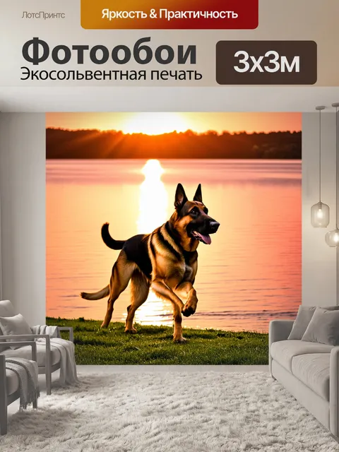 Фотообои немецкая овчарка на берегу живописного озера во время заката
