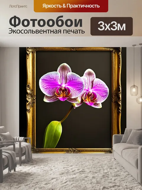 Фотообои орхидея, размещенная в рамке из винтажных элементов, с эффектом старения