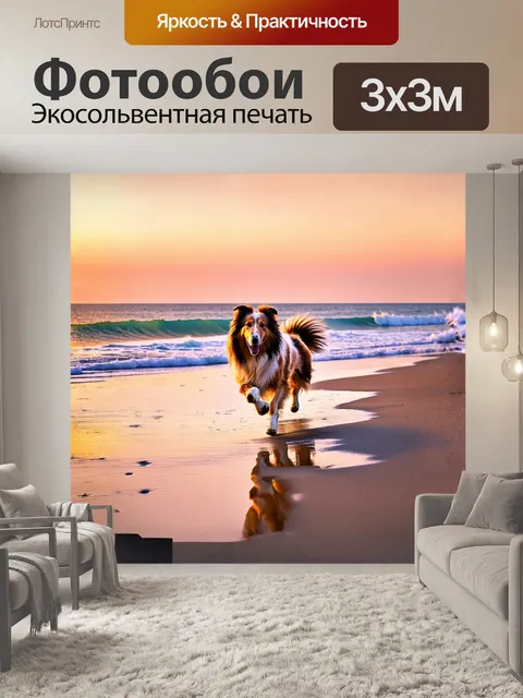 Фотообои грубая колли, пробегающая по песчаному берегу моря, оставляя следы на влажном песке и играя с морскими волнами