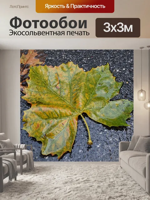 Фотообои Лист