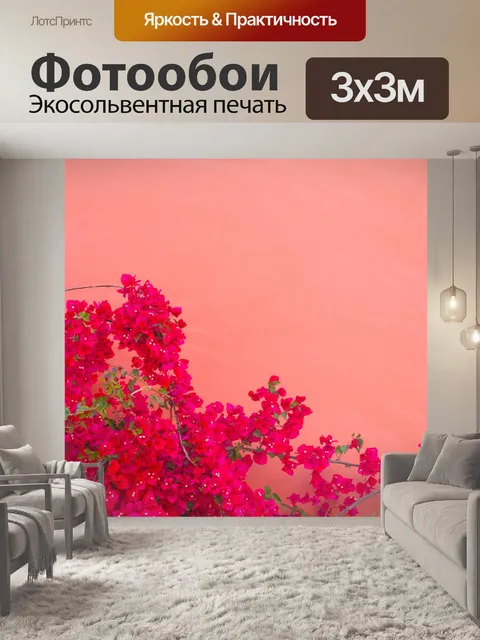 Фотообои красный Бугенвиль и стена