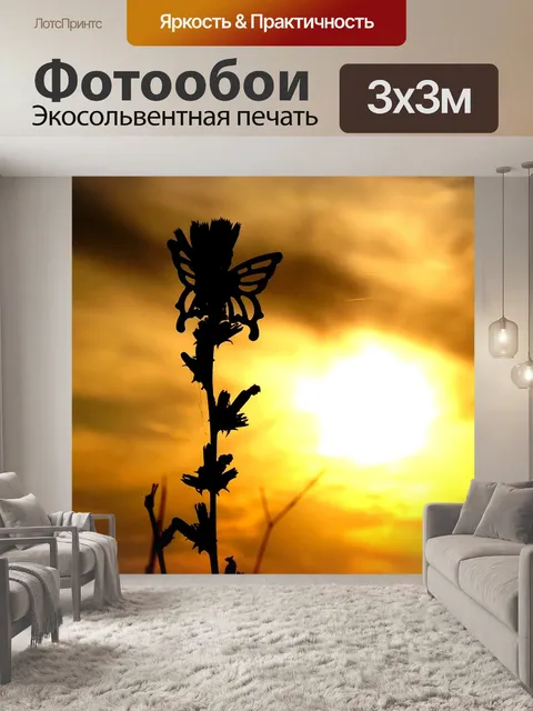 Фотообои Бабочки