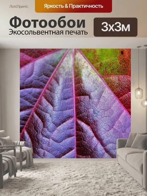 Фотообои Осенний лист