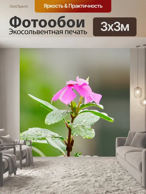 Фотообои Цветок