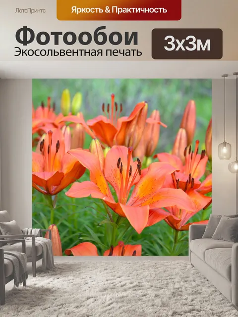 Фотообои Красные лилии