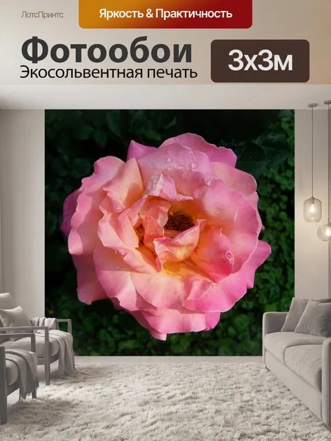 Фотообои Роуз