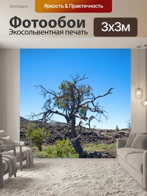 Фотообои Дерево в Кратеры Луны